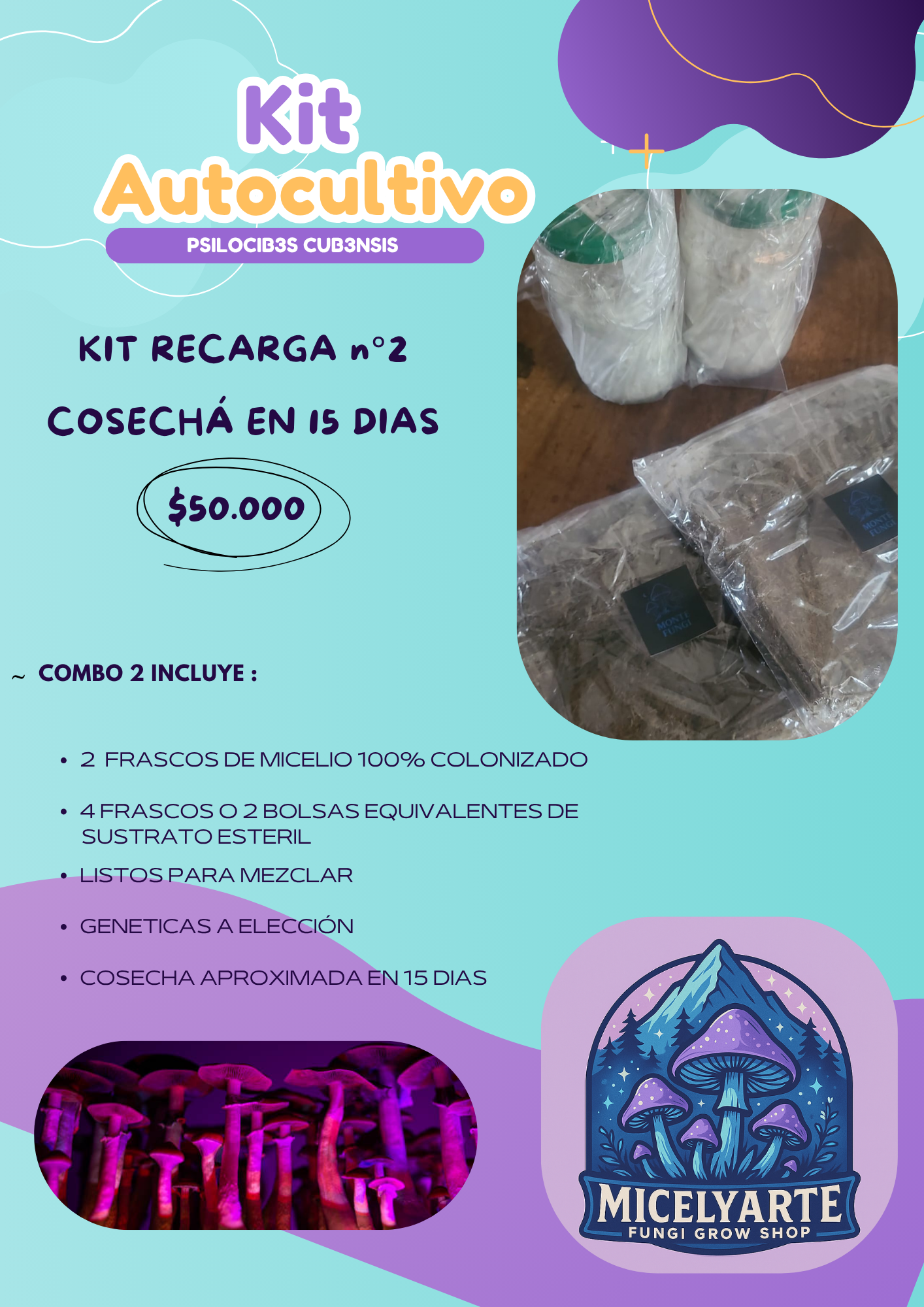 Kit Recarga n°2 Hongos Ps1locib3s ( 2 Micelios + 4 Sustratos)