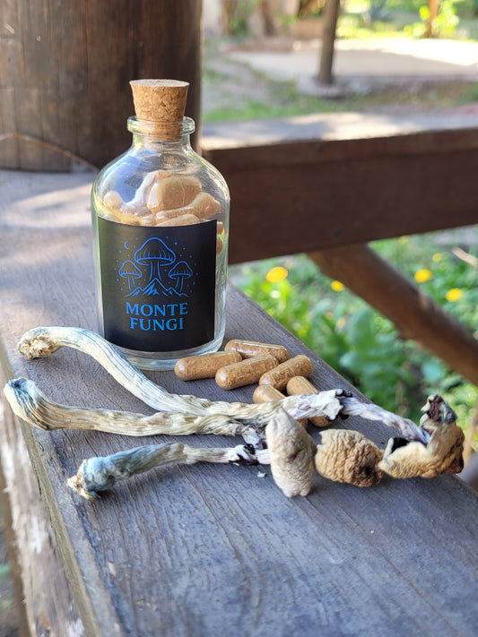 Combo Cognitivo 1 Mes Psilocibes + Melena de Leon