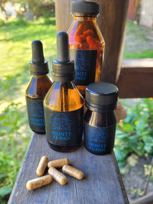 Combo Sueño 1 Mes Psilocibes+Reishi