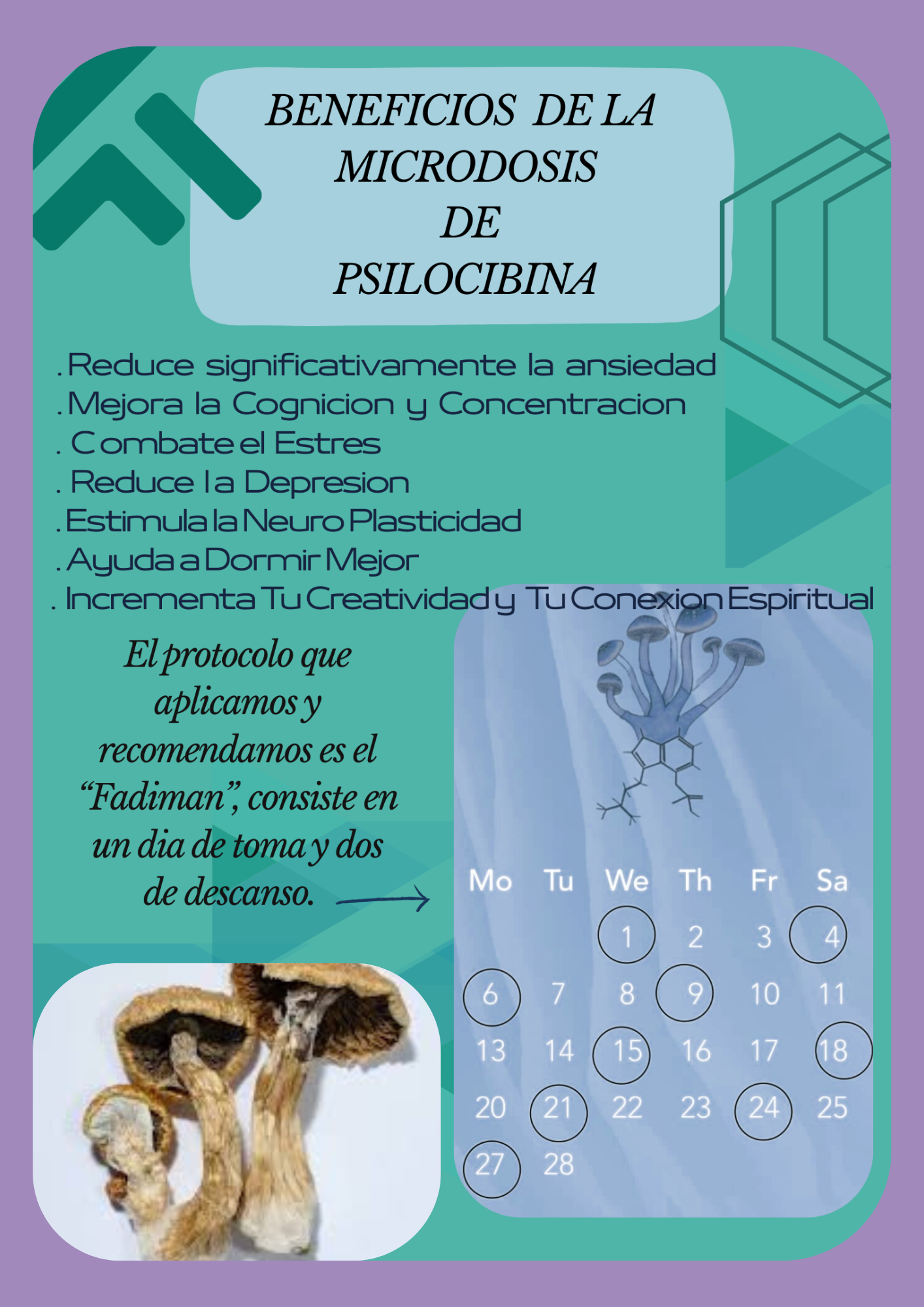 Microdosis En Capsulas Hongos Ps1locib3s Tratamiento 1 mes - 15 Caps
