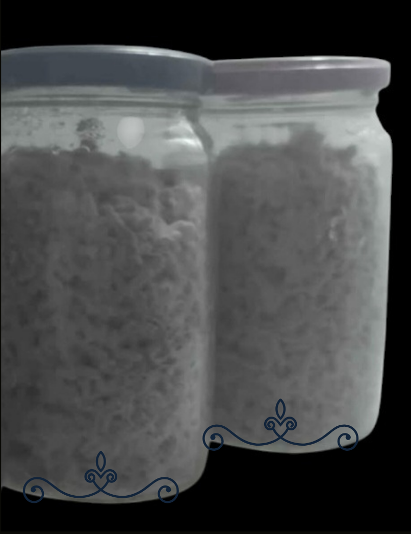Micelio Para Cultivo de Hongos Psilocib3s 1 Frasco