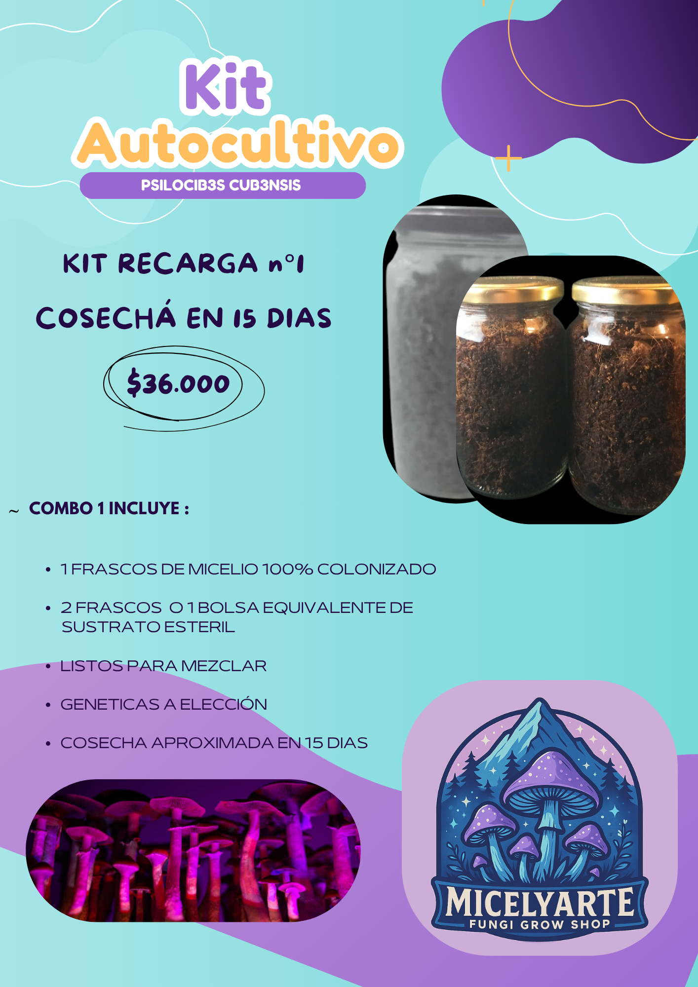 Kit Recarga n°1  Hongos Ps1locib3s ( 1 Micelios + 2 Sustratos)