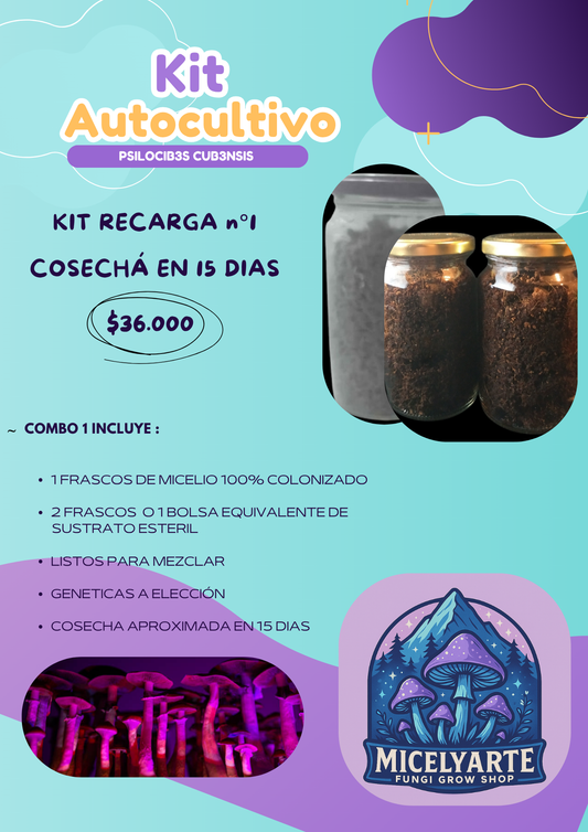 Kit Recarga n°1  Hongos Ps1locib3s ( 1 Micelios + 2 Sustratos)