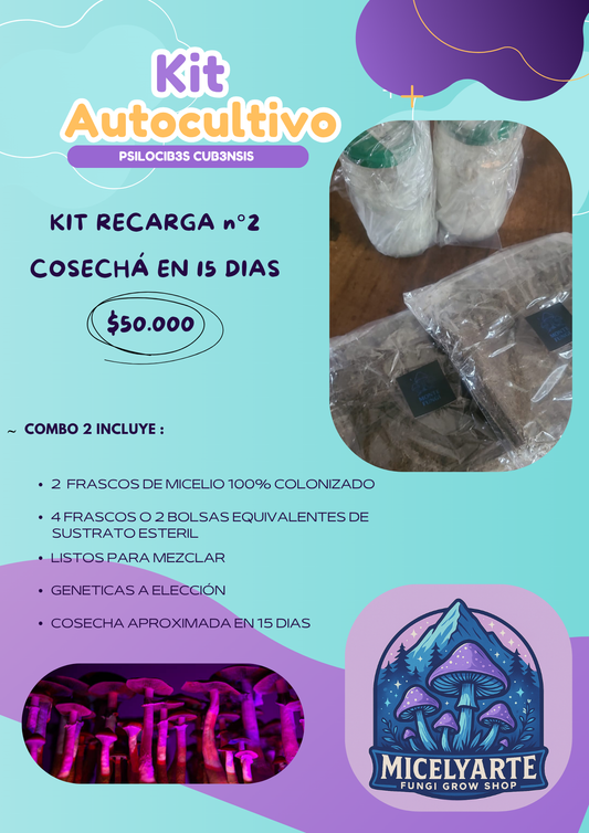 Kit Recarga n°2  Hongos Ps1locib3s ( 2 Micelios + 4 Sustratos)