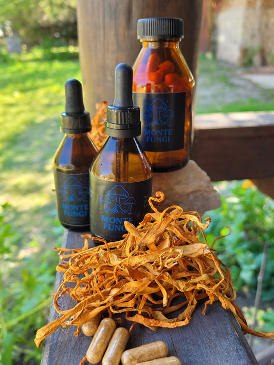 Microdosis En Capsulas Hongo Cordyceps x 30 Caps