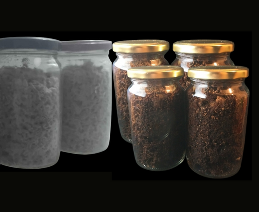 Kit Autocultivo Hongos Ps1locib3s ( 2 Micelios + 4 Sustratos)