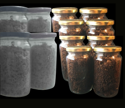 Kit Autocultivo Hongos Ps1locib3s ( 4 Micelios + 8 Sustratos)