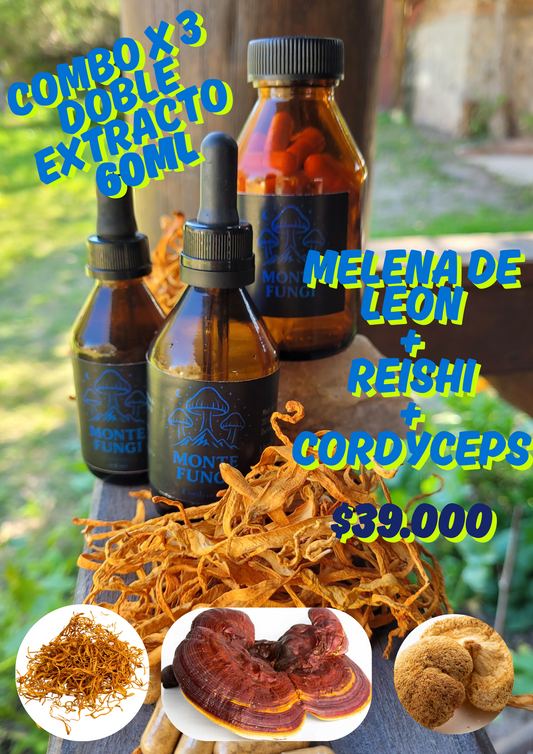 Combo Doble Extractos Adaptogenos x 3 Melena+Reishi+Cordyceps