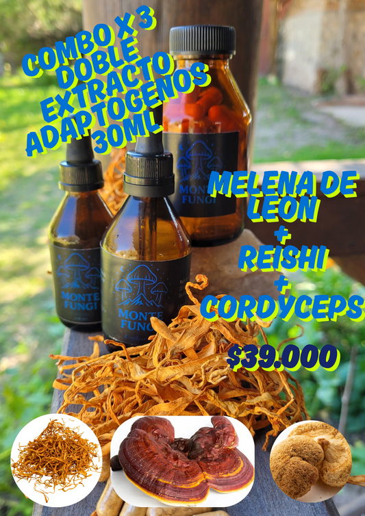 Combo Doble Extractos Adaptogenos x 3 Melena+Reishi+Cordyceps 30ml