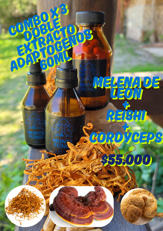 Combo Doble Extractos Adaptogenos x 3 Melena+Reishi+Cordyceps 60ml