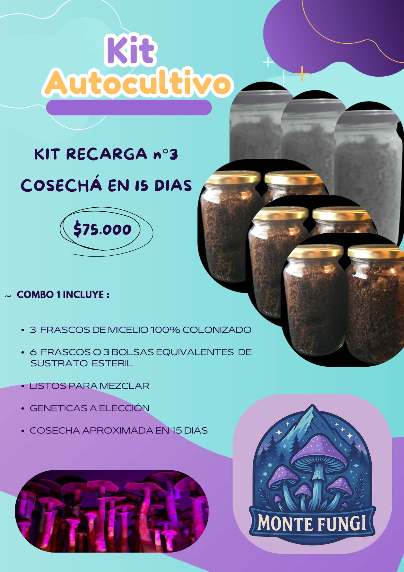Kit Recarga n°3  Hongos Ps1locib3s ( 3 Micelios + 6 Sustratos)